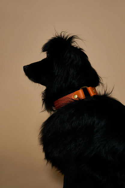 Collier plat Tangerine