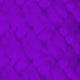 Deep Purple