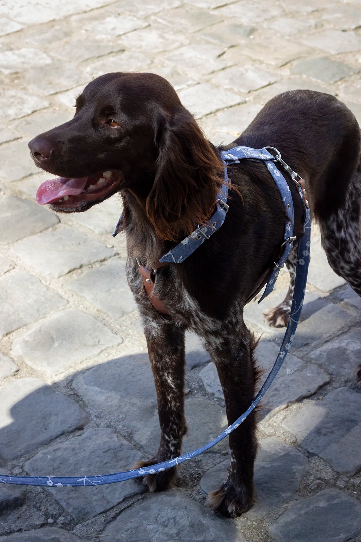 Harnais Gipsy