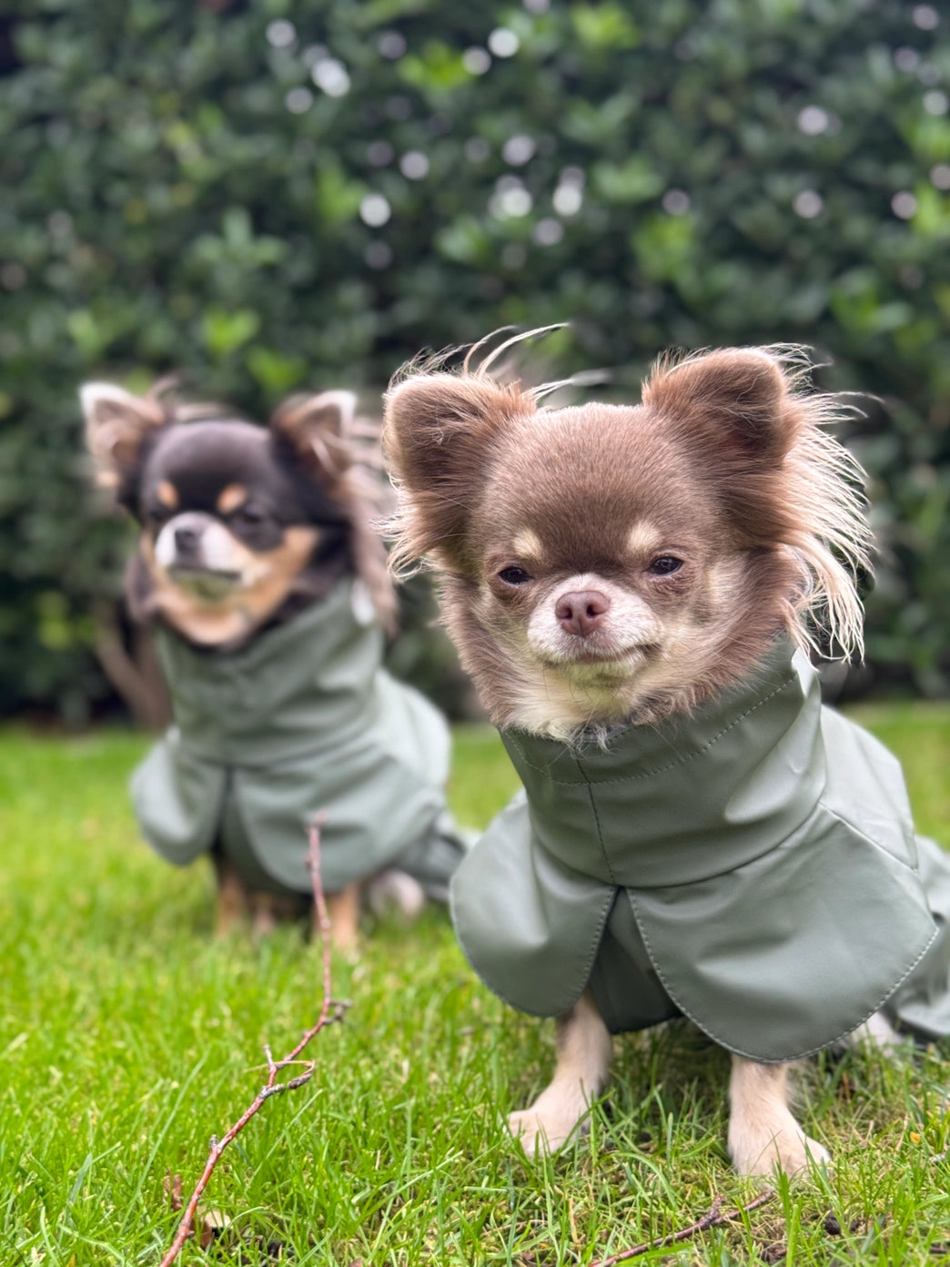 Imperméable kaki