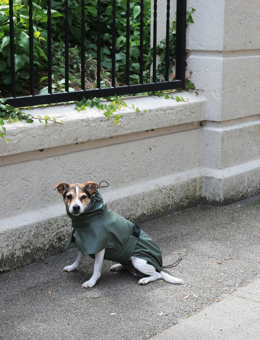 Imperméable kaki