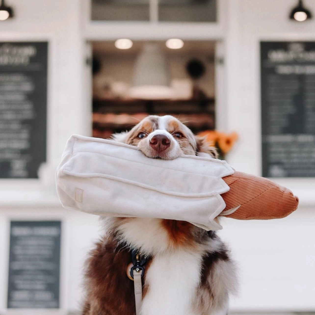 Baguette de fouille
