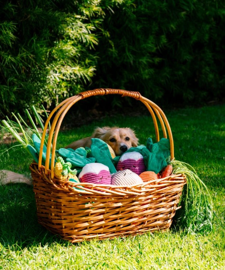 Peluche maïs