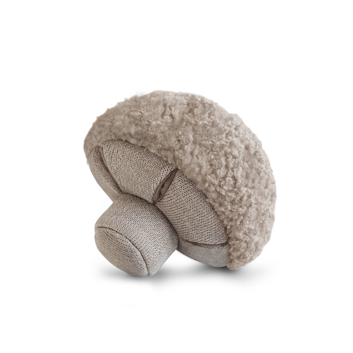 Champignon de fouille