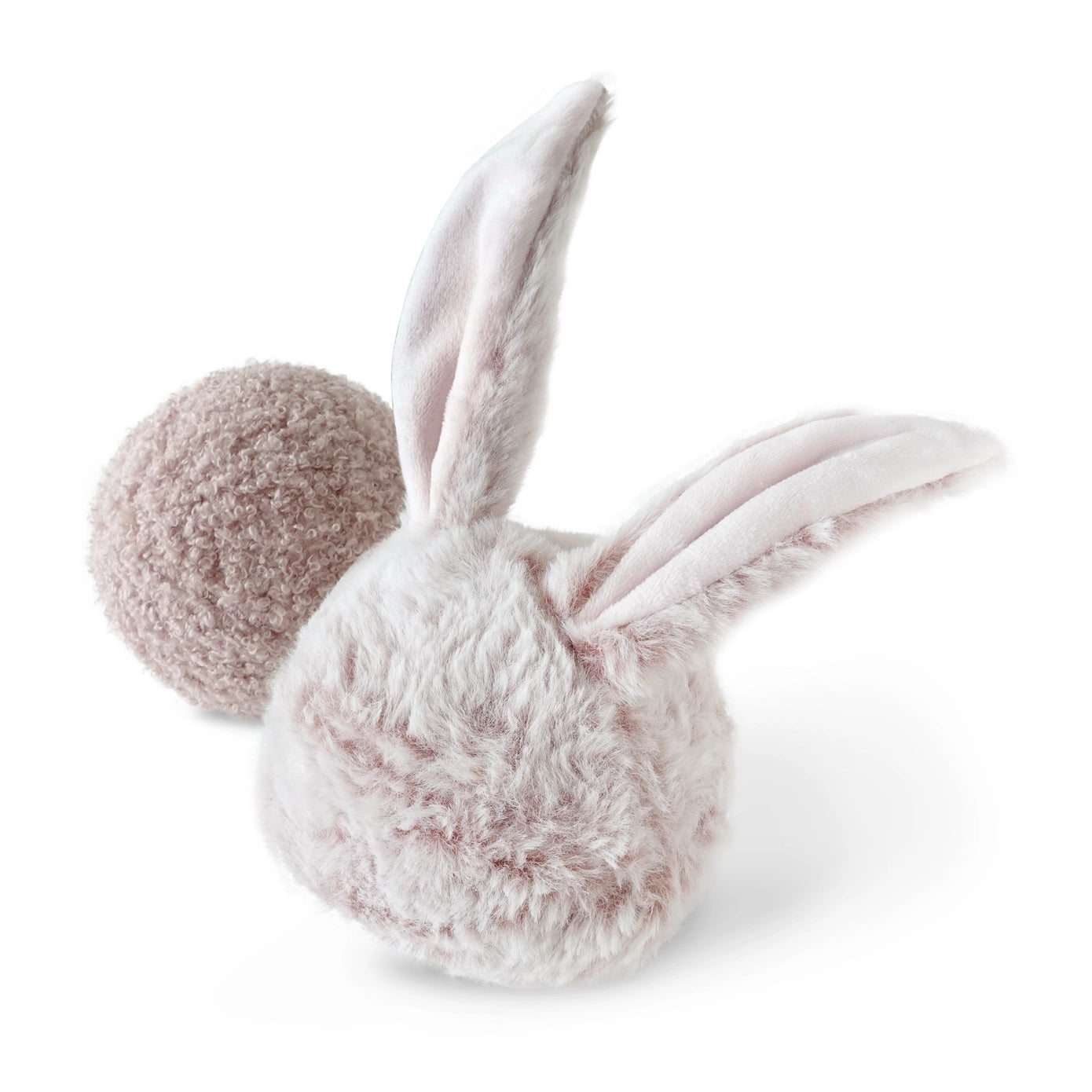 Lapin de fouille