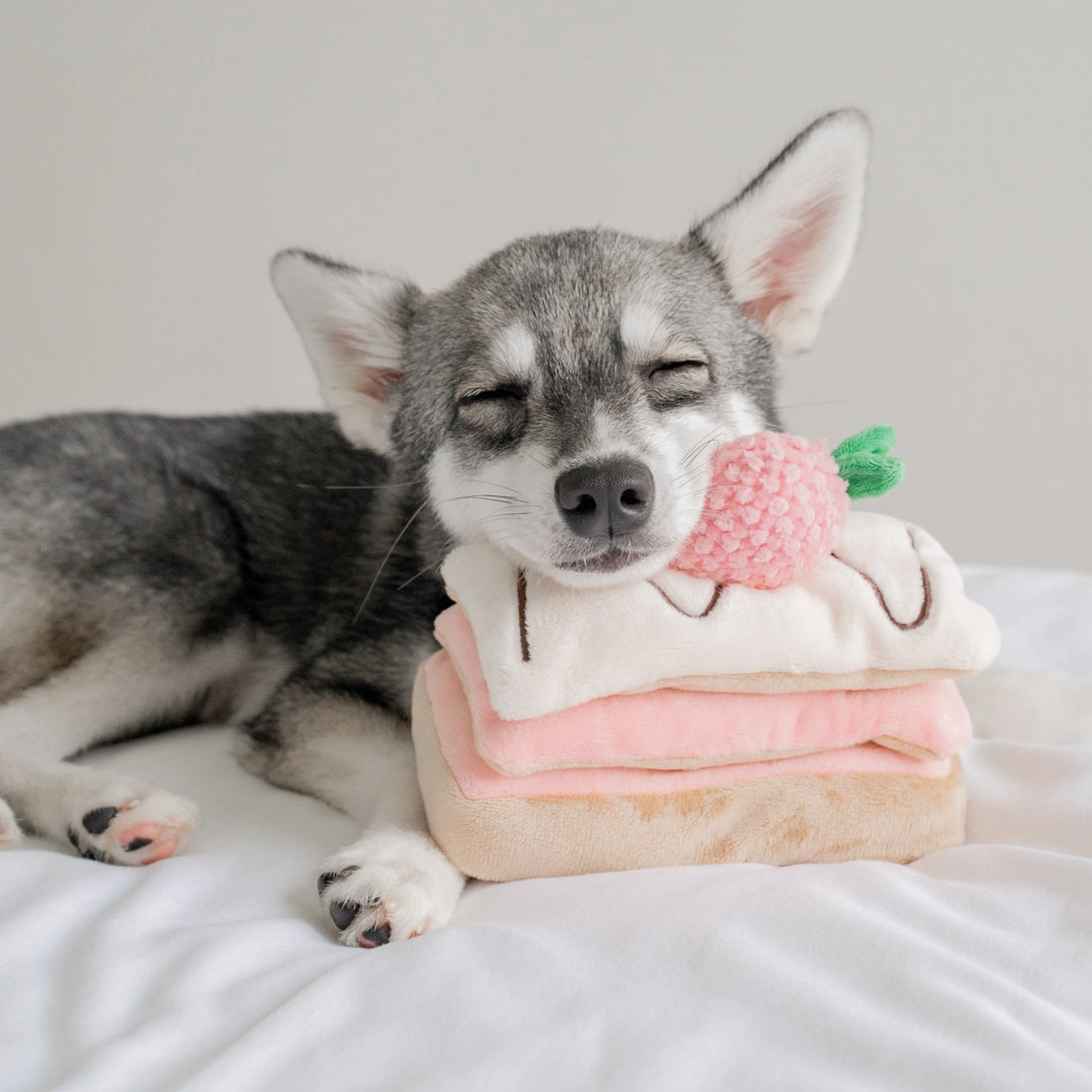 Millefeuille à la fraise de fouille