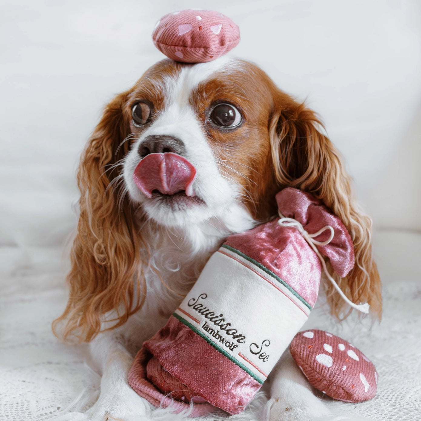 Saucisson de fouille