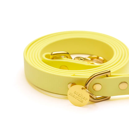 Laisse imperméable Jaune Pastel