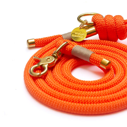 Orange leash