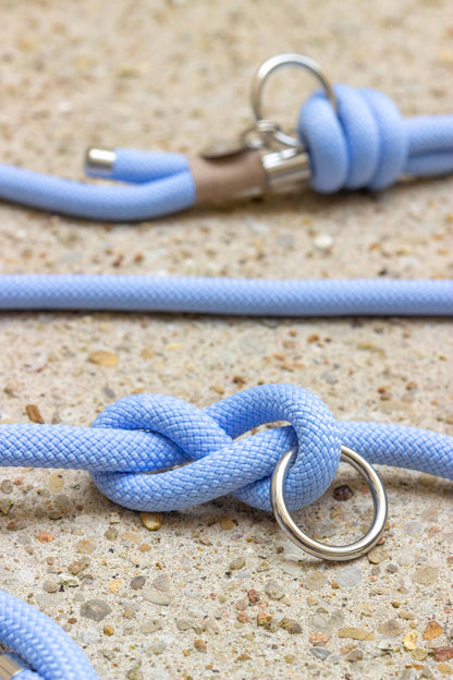 Polar blue leash