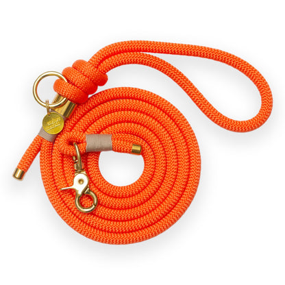 Orange leash