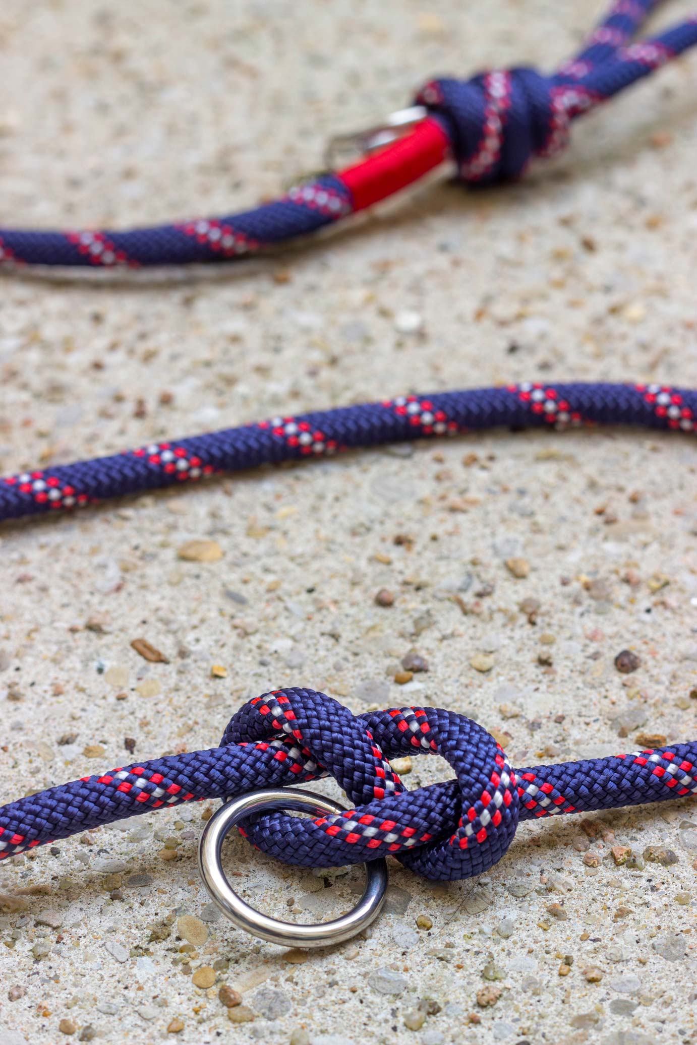 Laisse Sailor