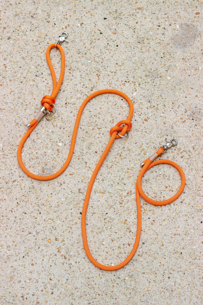 Laisse Tangerine