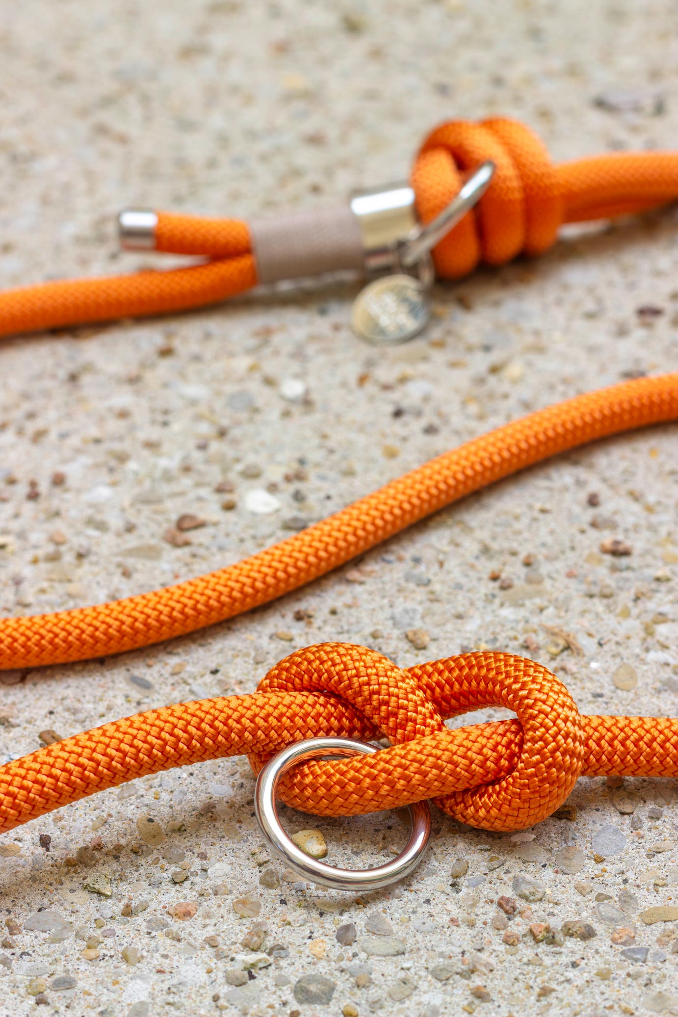 Laisse Tangerine