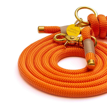 Laisse Tangerine