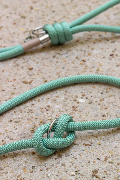 Laisse Vert d&