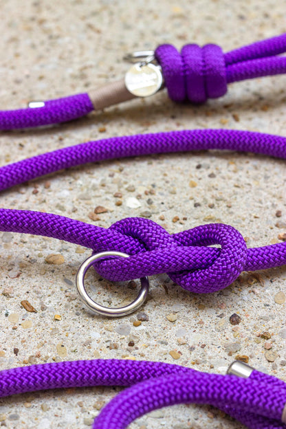 Leash deep purple