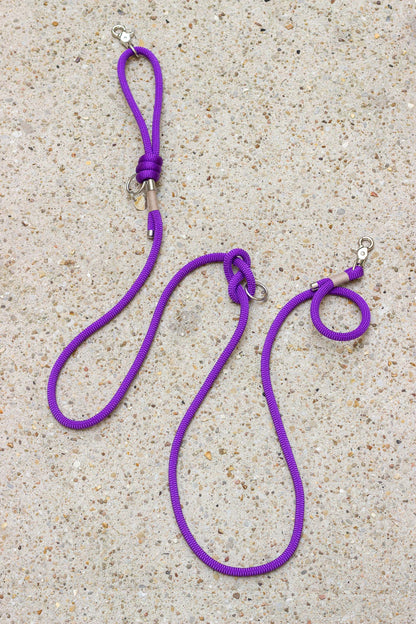 Leash deep purple