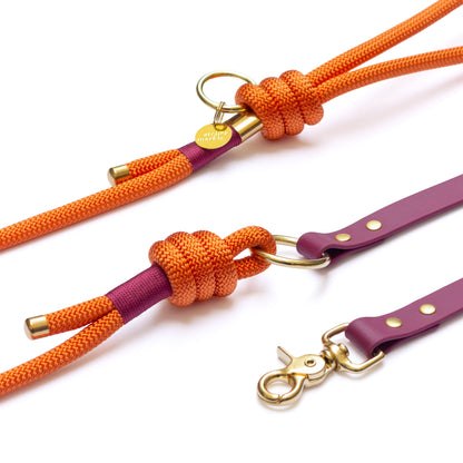 Laisse mains libres Malaga