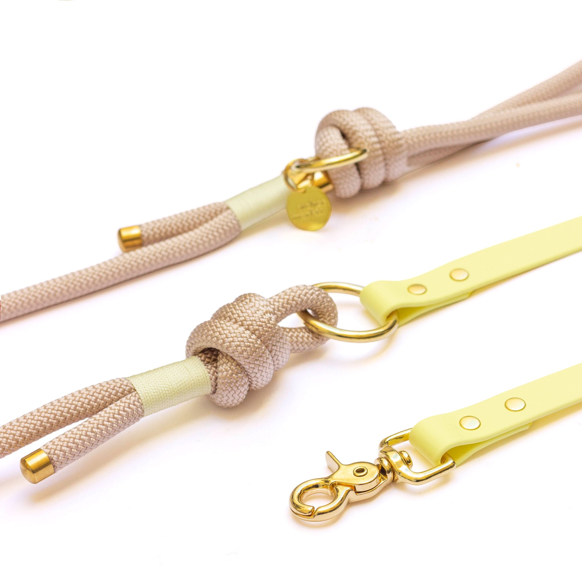 Laisse mains libres corde x Biothane Oslo