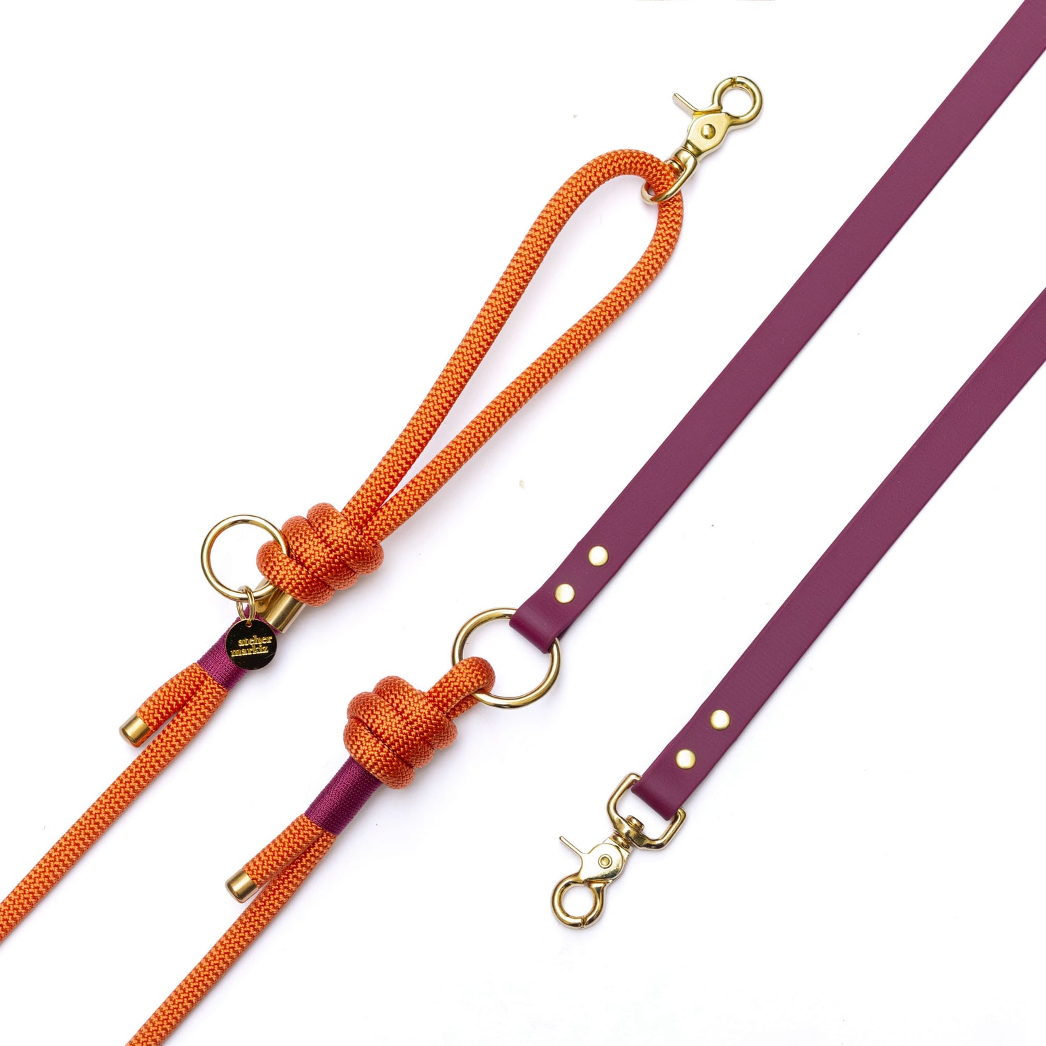 Laisse mains libres Malaga