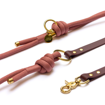 Laisse mains libres en corde x Biothane Pomelo