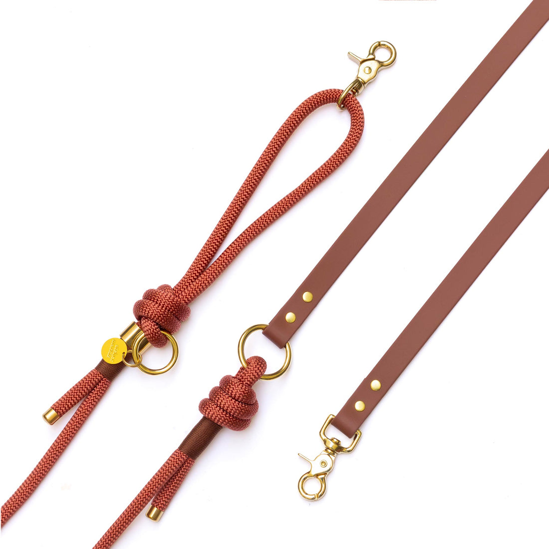 Laisse mains libres corde x Biothane Maple