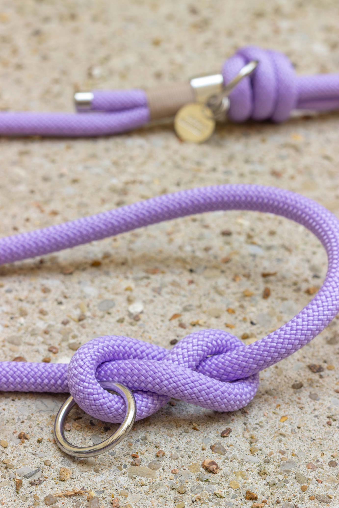 Lilac leash