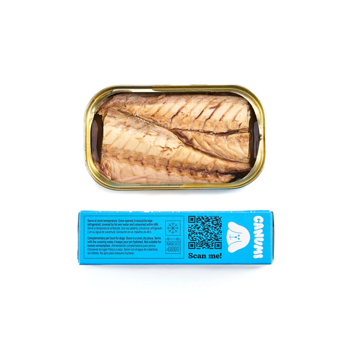Conserve de filets de maquereau