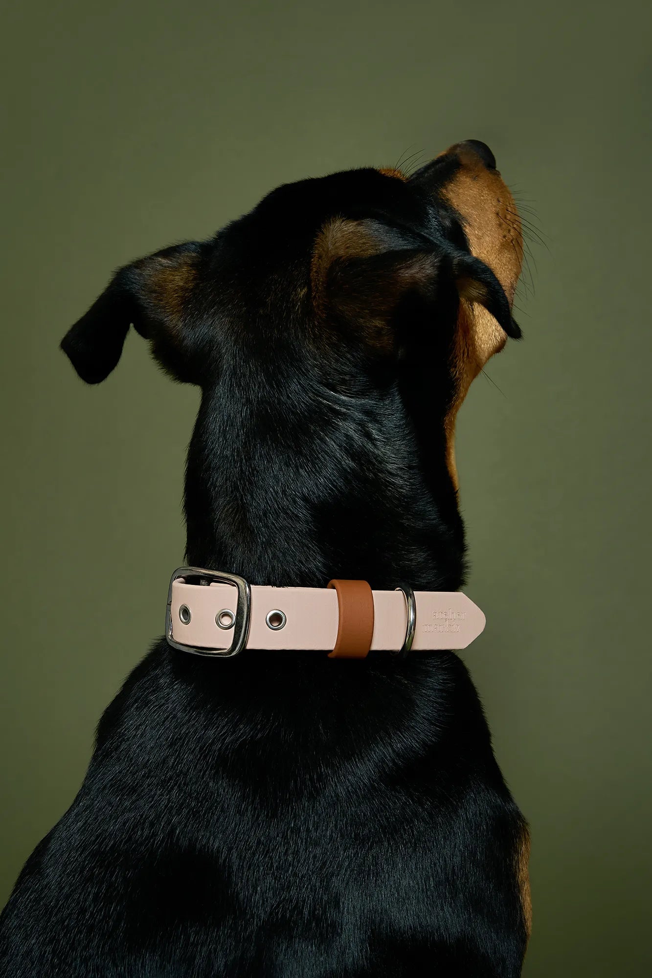 Collier imperméable Tan