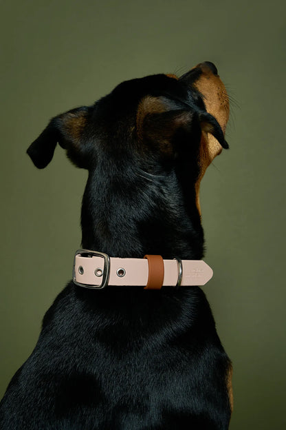 Collier imperméable Tan