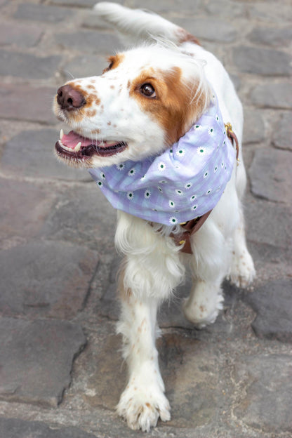 Snood imperméable et réversible Daisy