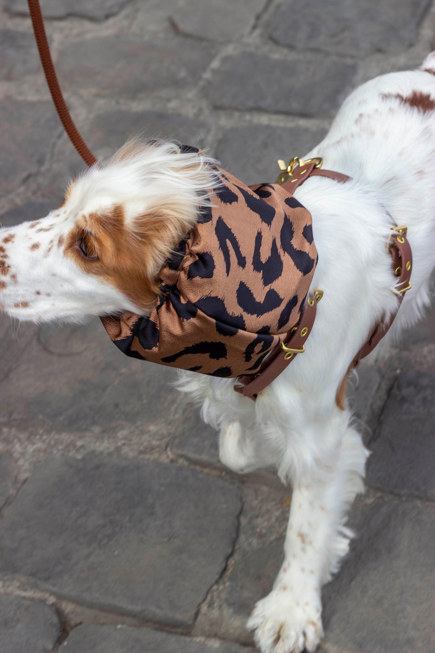 Snood Wild