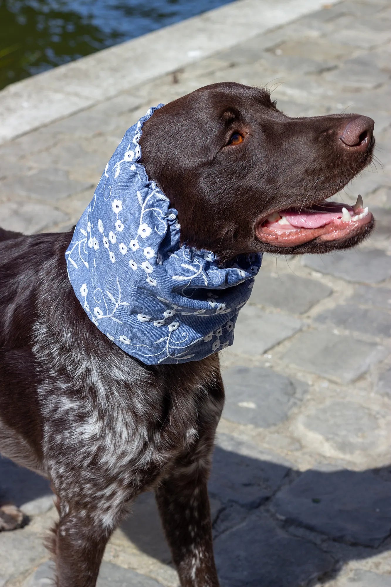 Snood Gipsy