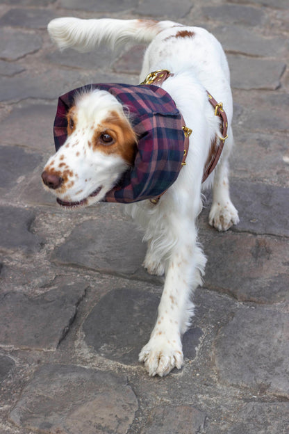 Snood imperméable et réversible Skye