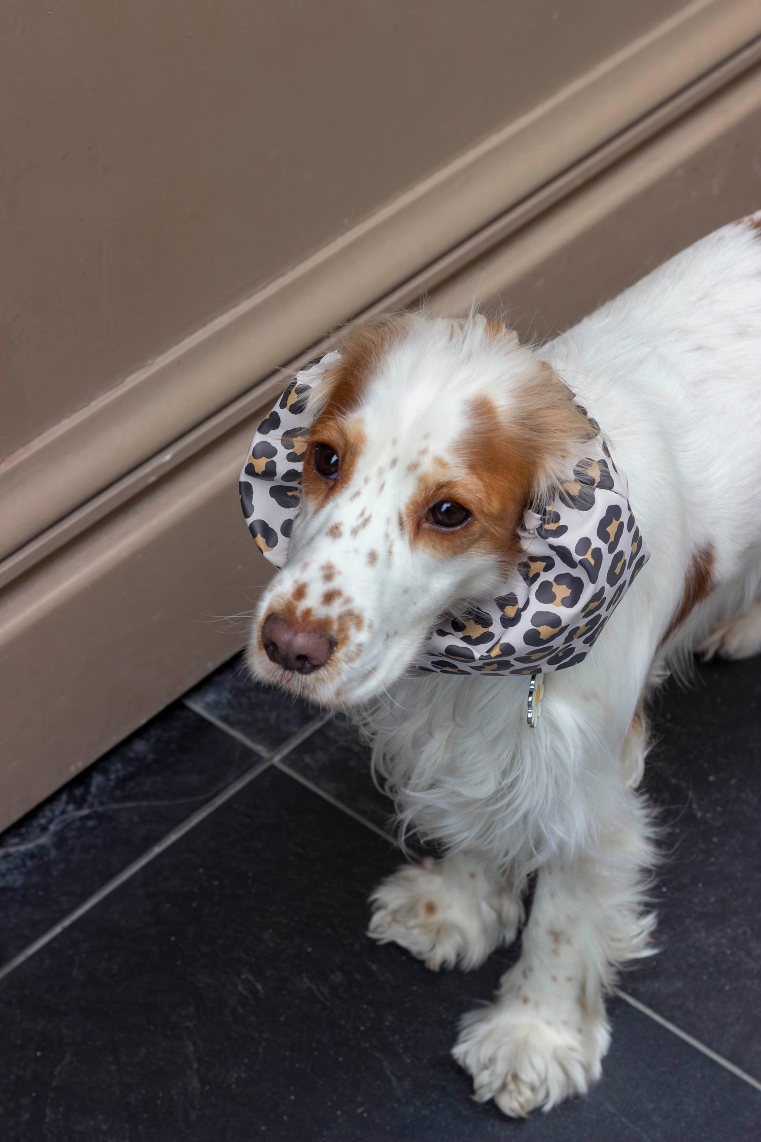 Snood imperméable Cheetah