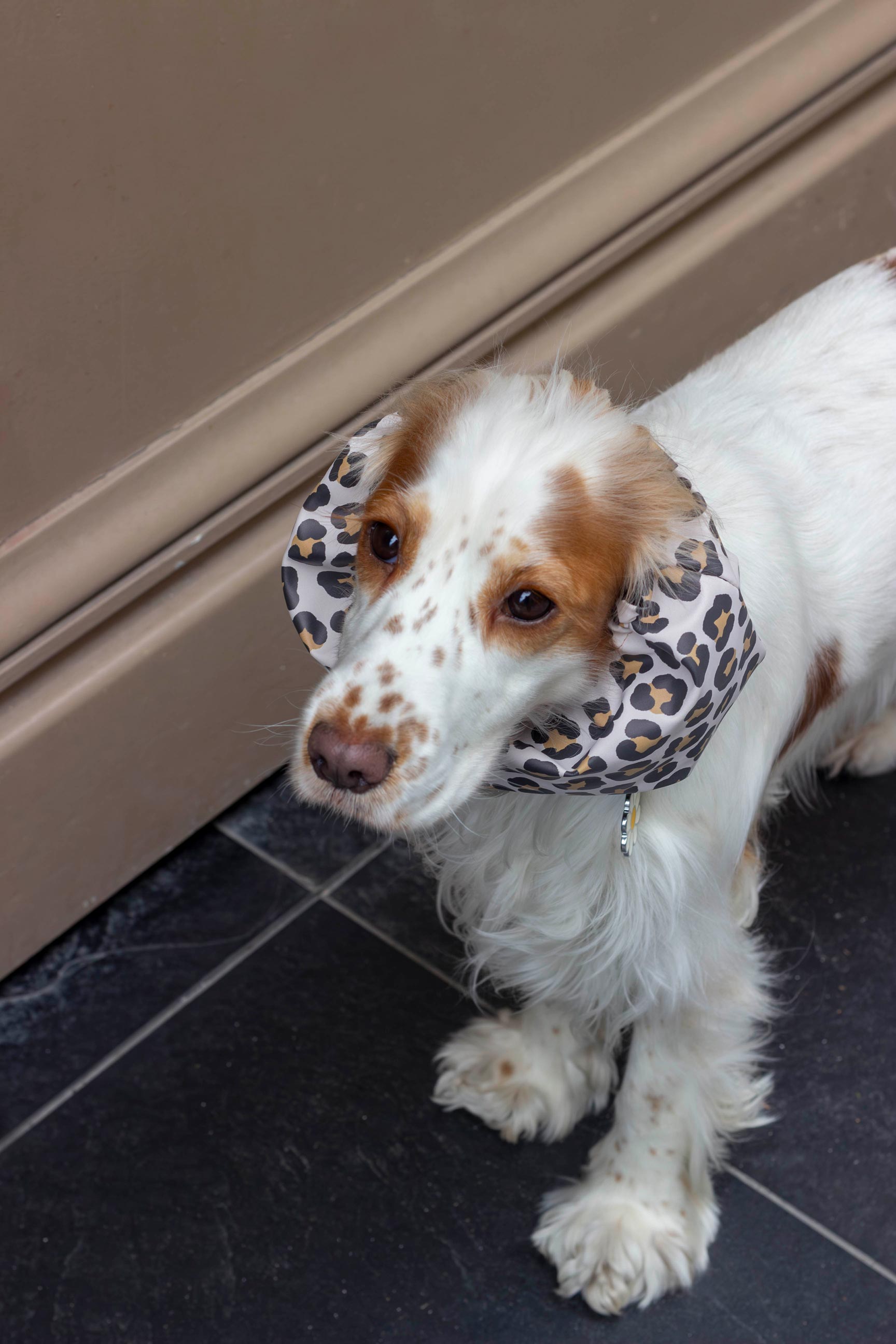 Snood imperméable Cheetah