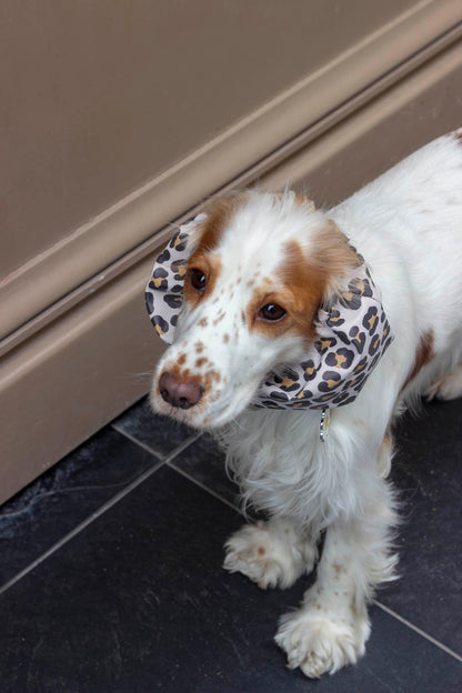 Snood imperméable Cheetah