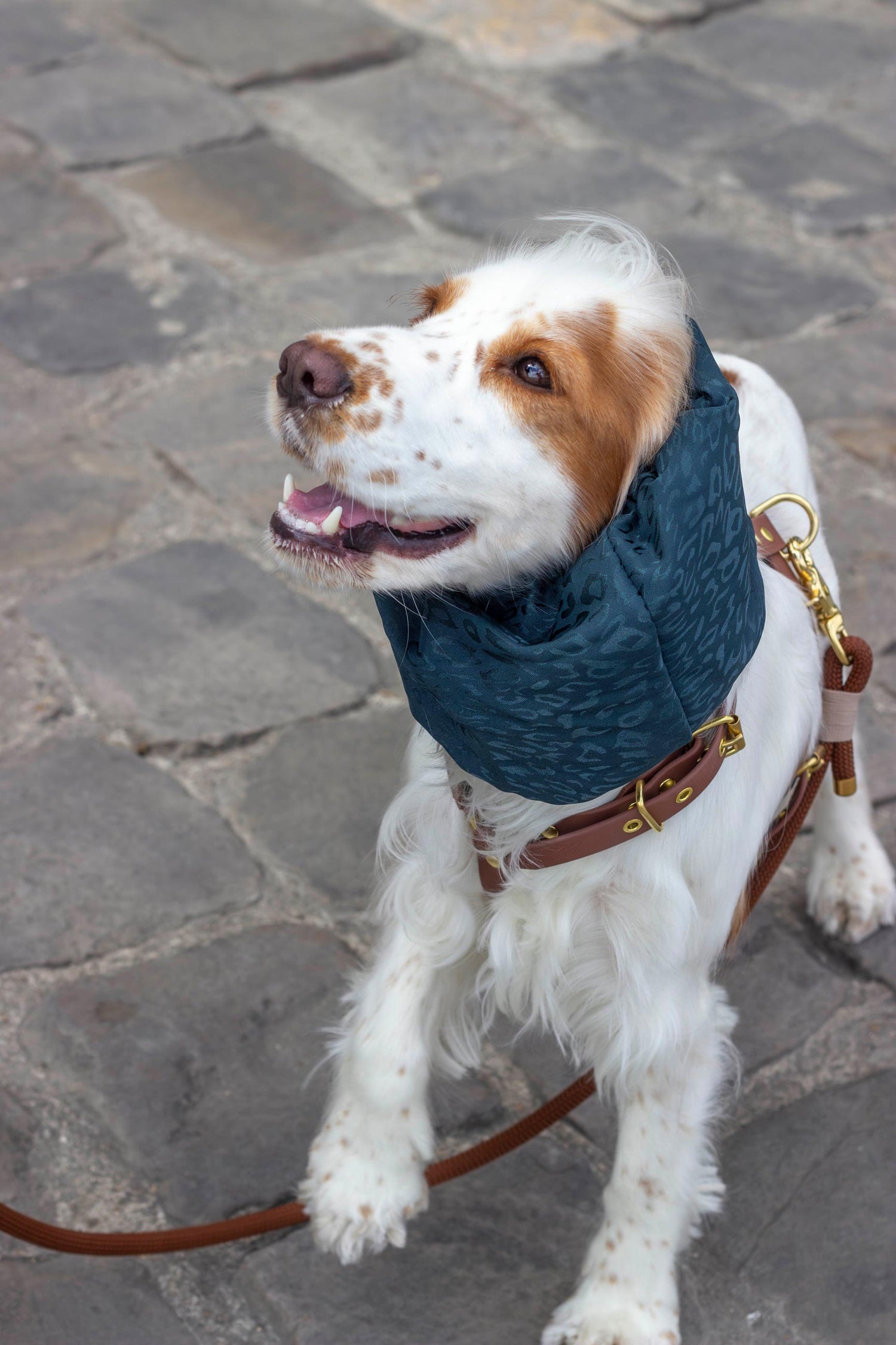 Snood Bali