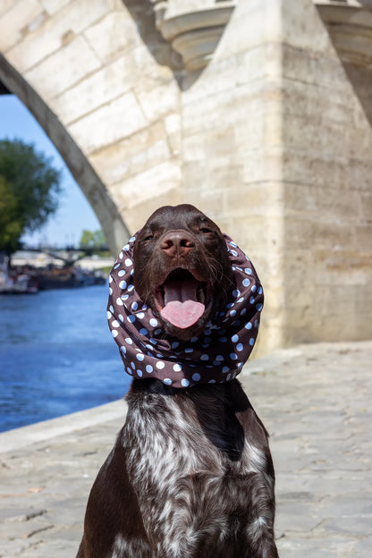Snood Bowie
