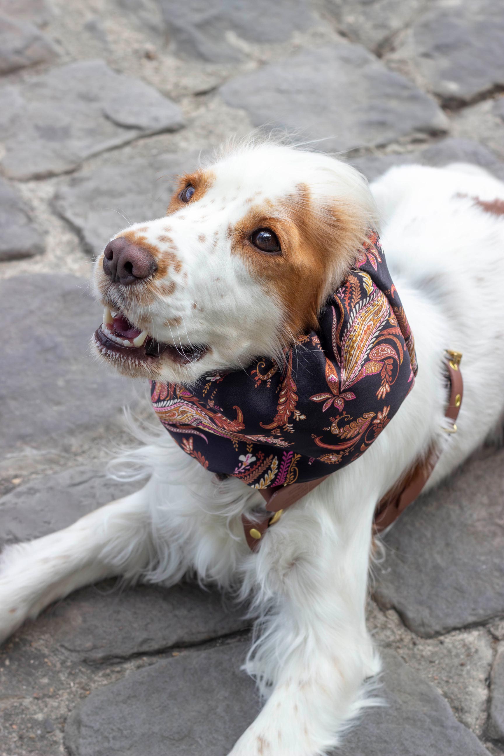 Snood Kashmir