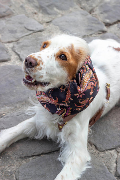 Snood Kashmir