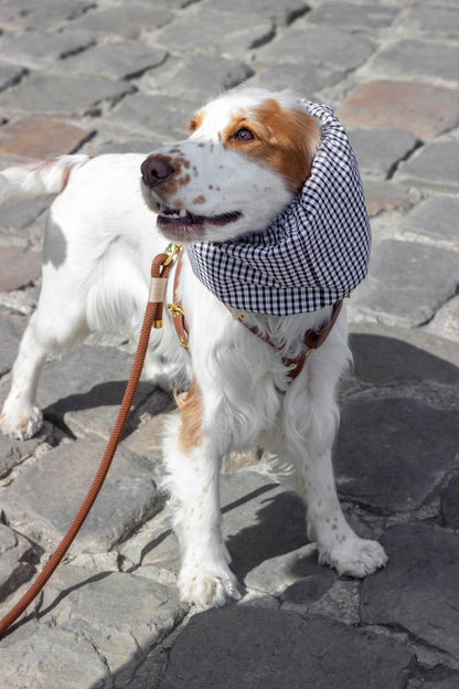 Snood Madrague