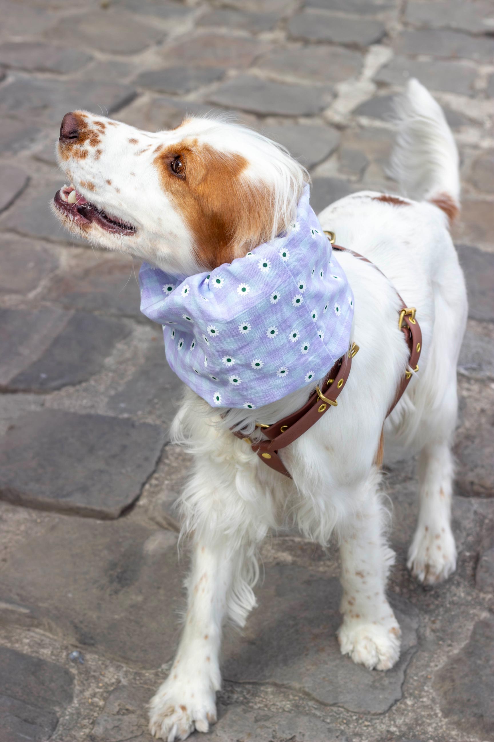 Snood léger Bloomy