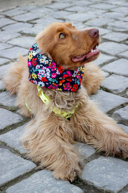 Snood Carmen