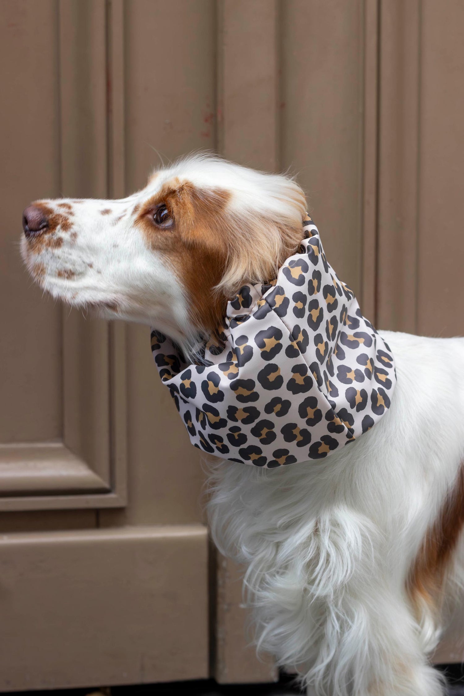 Snood imperméable Cheetah