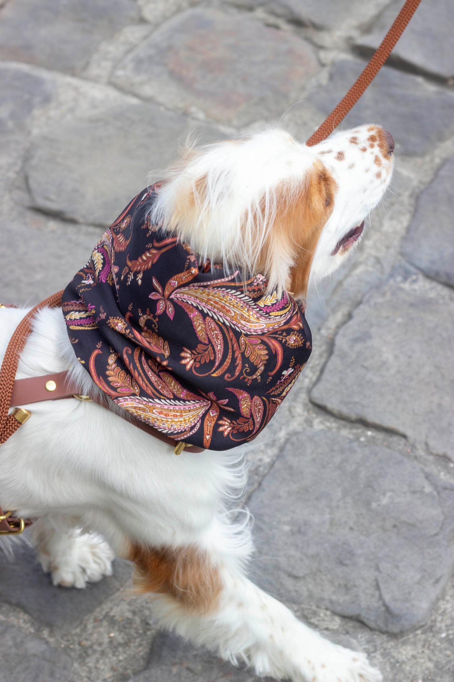 Snood Kashmir