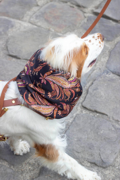 Snood Kashmir