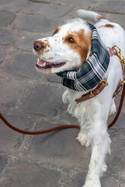 Snood imperméable et réversible Glencoe