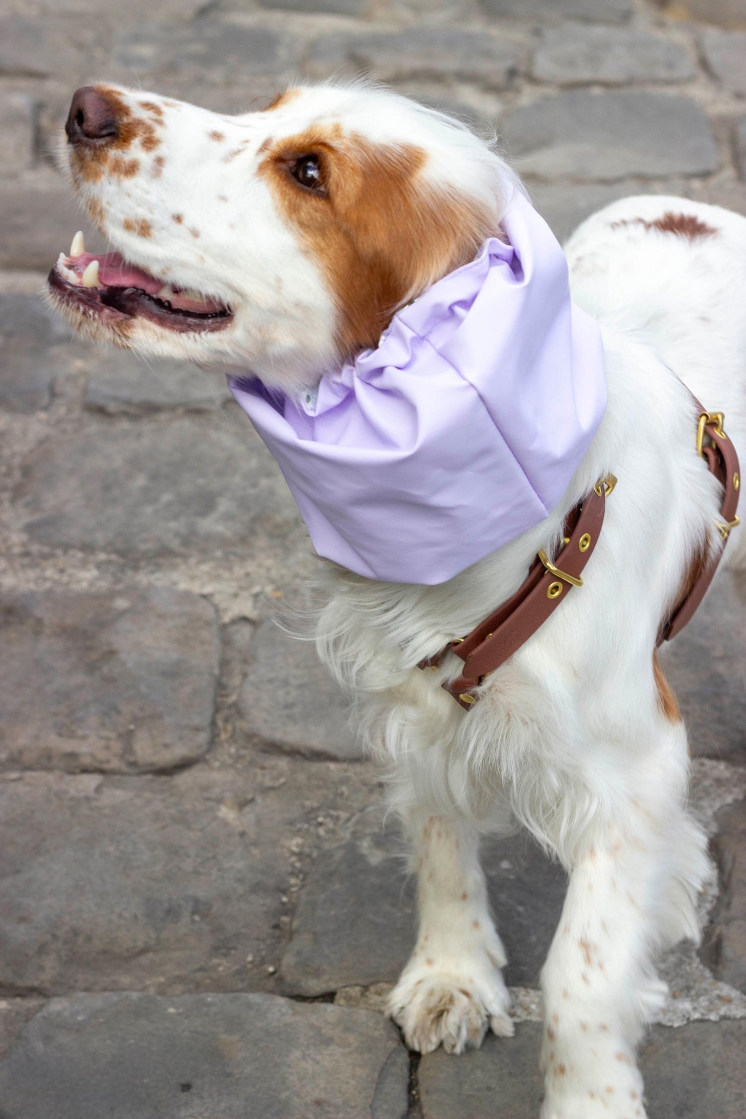 Snood imperméable et réversible Daisy